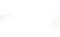 Laksis Website eg.png