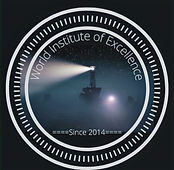 World Institute of Excellence (2) (2)_ed