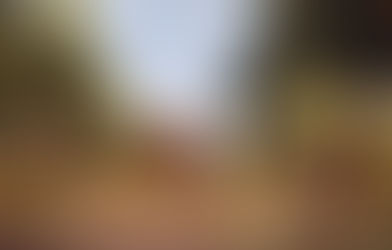 Somewhere Only We Know the Lilly Allen version - Violin Sheet Music