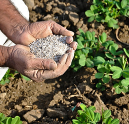 fertilizer