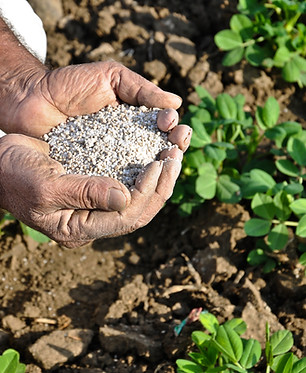 fertilizer