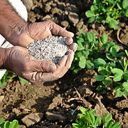 fertilizer