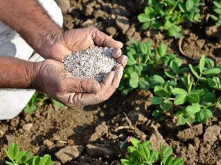 EU Fertiliser Reset: Turning Policy Into Supply