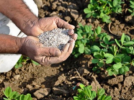 How to Fertilize