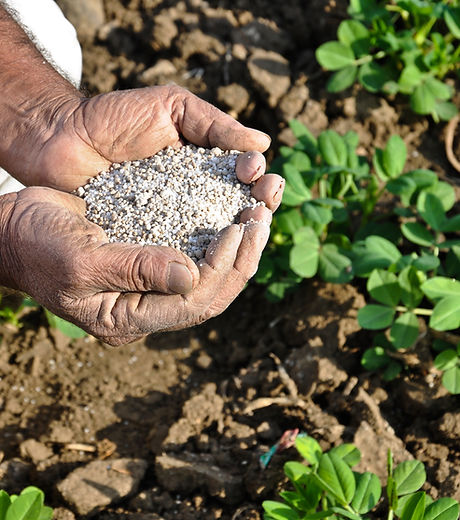 fertilizer