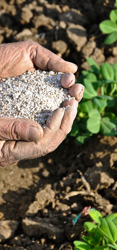 fertilizer