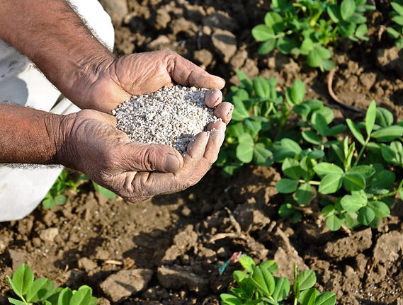 fertilizer