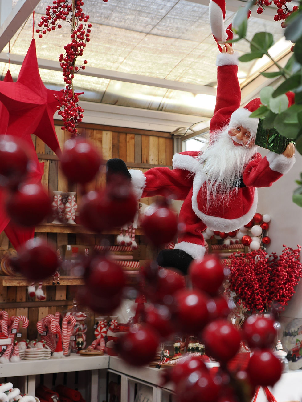 LLEGA LA NAVIDAD A GARDEN CORT