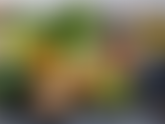 9 Foods That Actually Helps You Lose Weight!