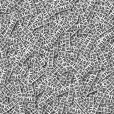 The Hidden Toll of Distress in Organisations