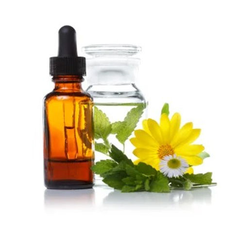 terapia-comportamental-florais-de-bach-para-animais-floral-ethos-animal-menfis-oliveira-so