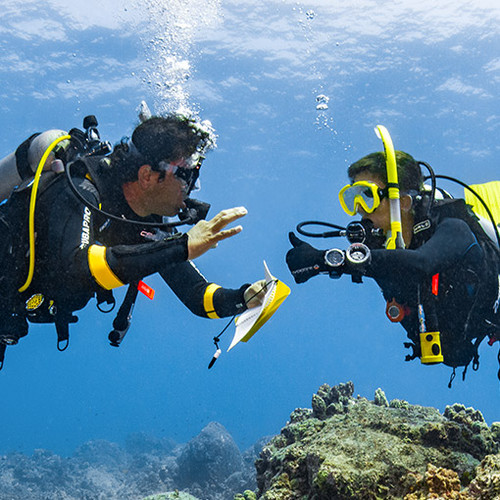 PADI Dive Theory eLearning Dive Academy