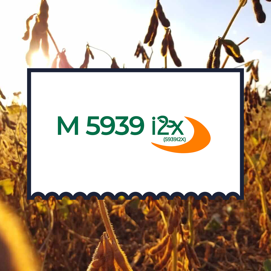 M 5939 I2X