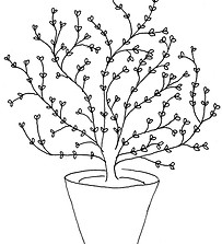 plante