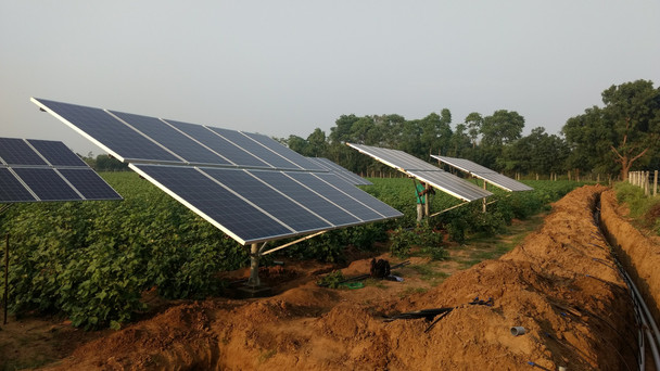 Cultivating Solar Energy - From Solar Farms to Farming With Solar