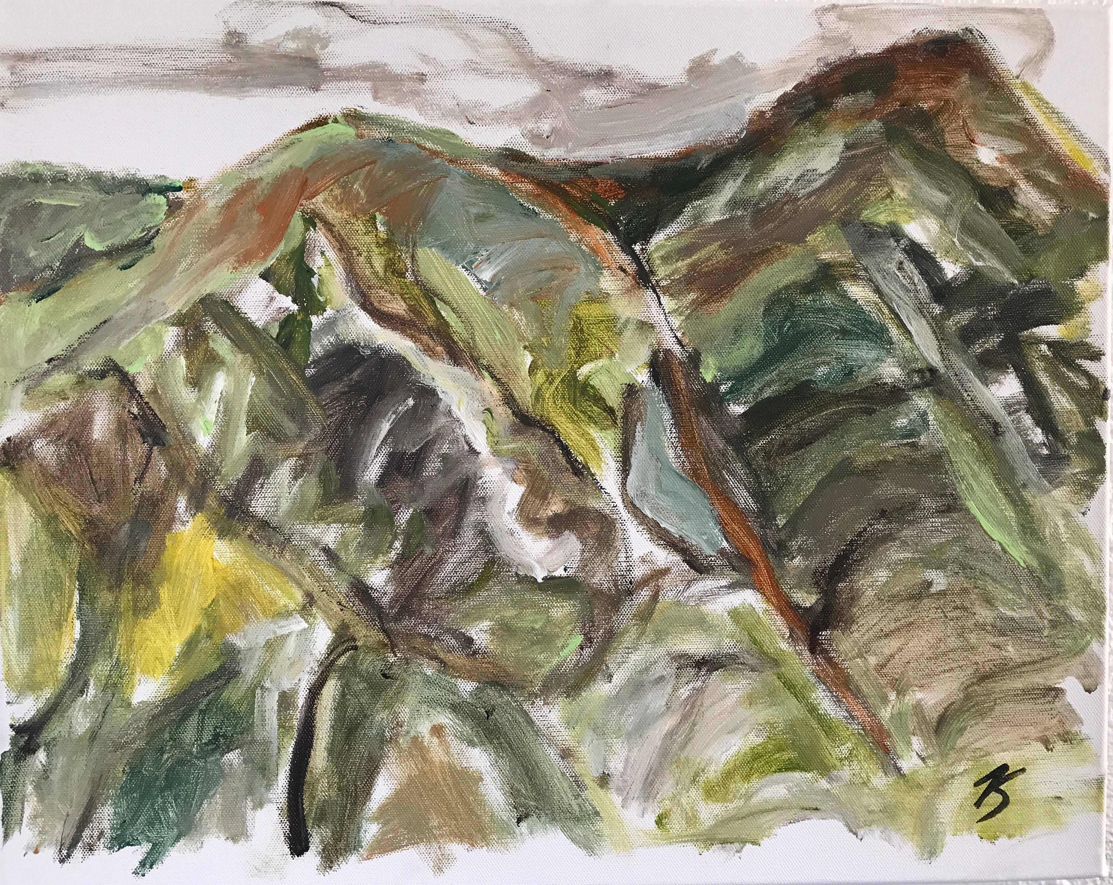 Etude montagnarde, 40x50cm,acrylique sur toile, 2017