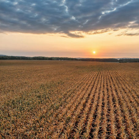 Cultivating Cost-Effective Acres: Discover the Cheapest Agricultural Land in the USA