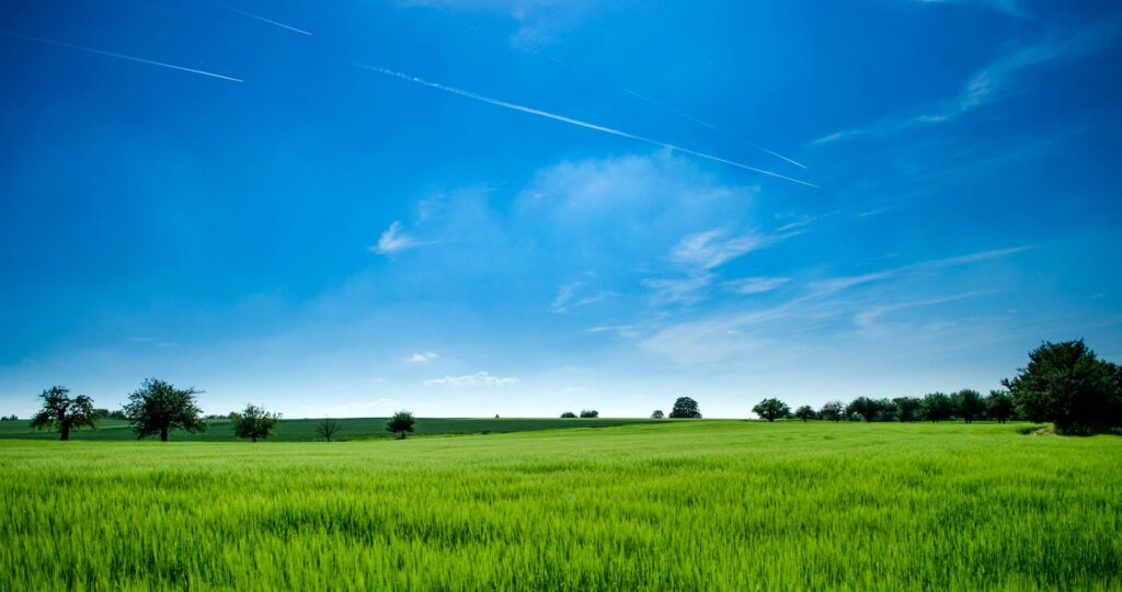 land - how to find owner financing properties