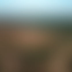 Affordable Land Parcels in Texas for Development:Â Build Your Dream