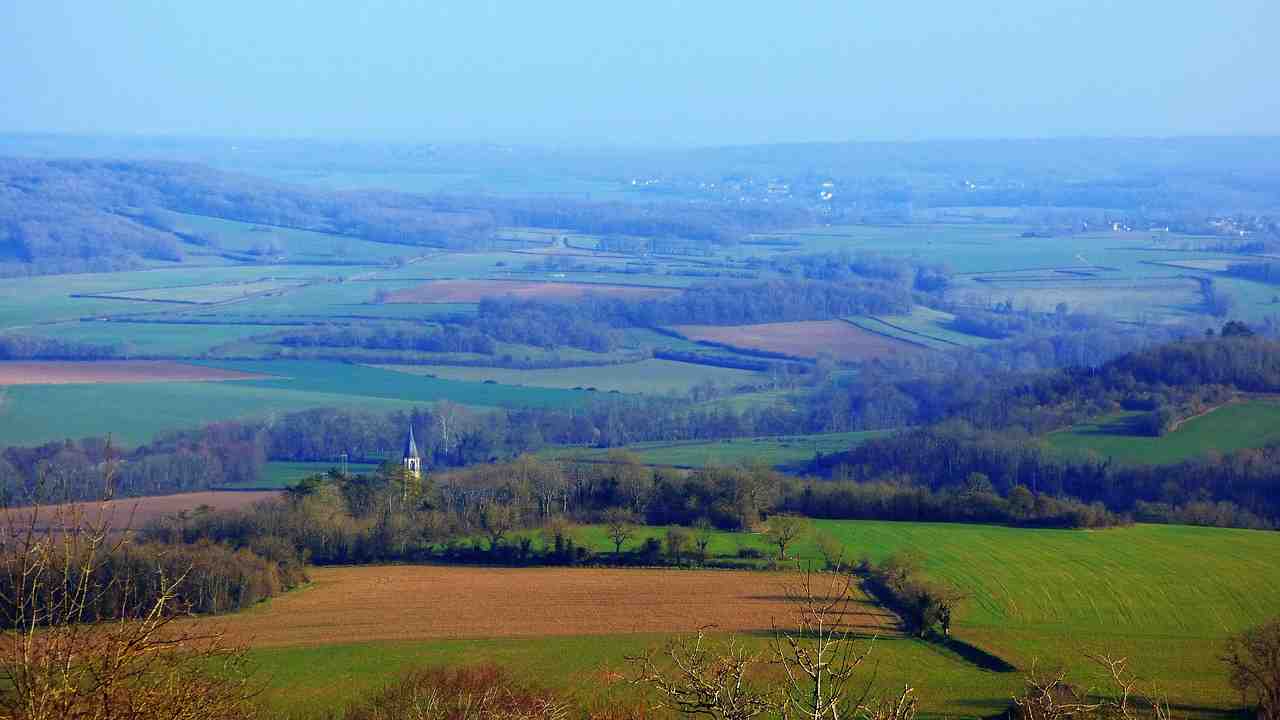 Rolling farmland with neatly planted crops under a bright sky, capturing the essence of agricultural potential - tax benefits of owning vacant land you need to know about