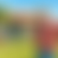 Find Owner Financing Homes for Sale Near Me and Buy Smart