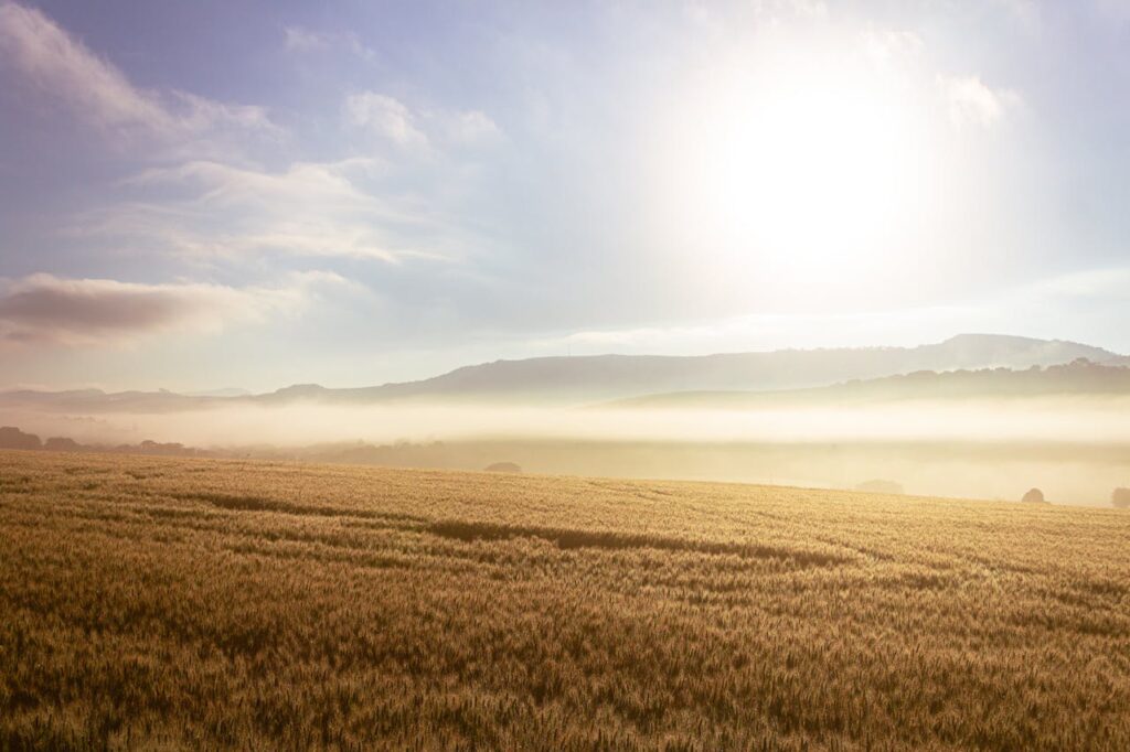 open field - Unrestricted land for sale