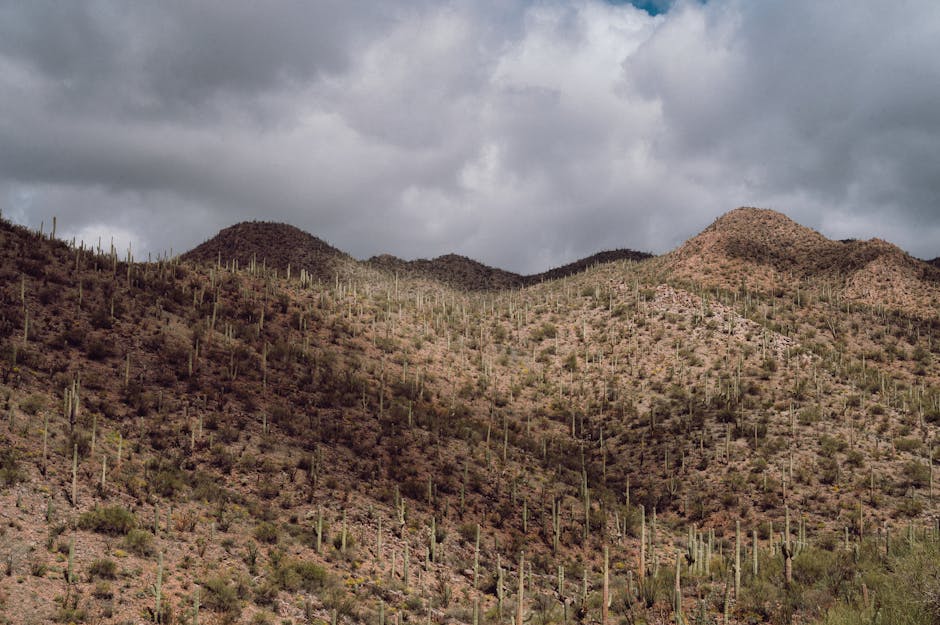 cheapest land to buy in usa