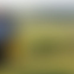 Why Is Buying Land Better Than Renting in Texas? Secure Your Family’s Future and Freedom Today