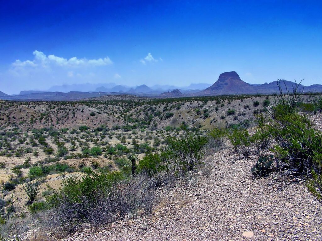 land in texas - pros and cons of land investment texas
