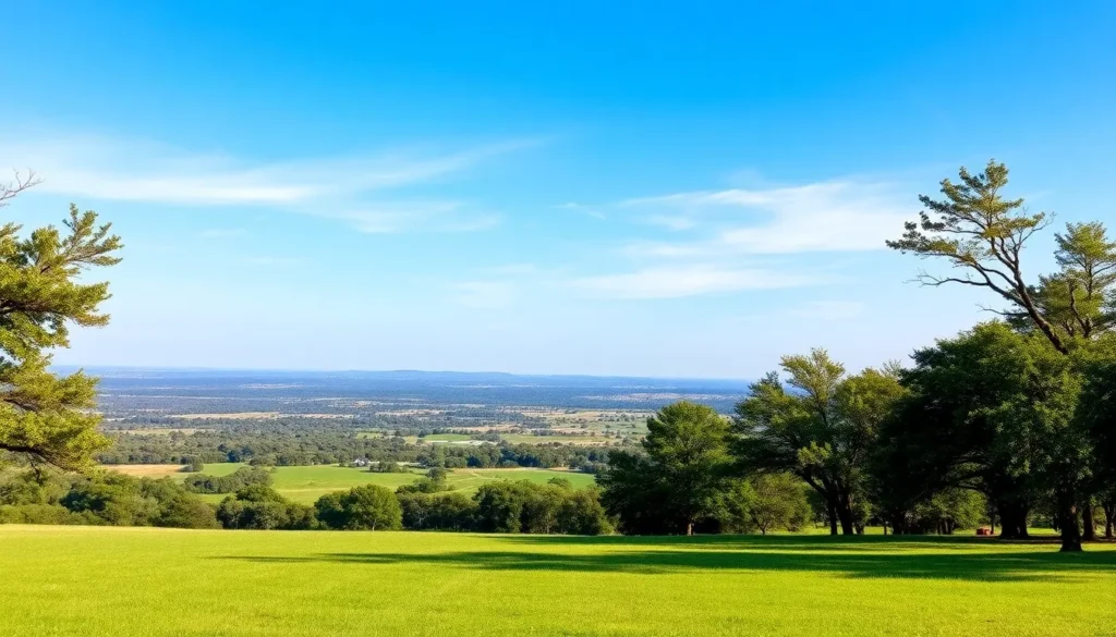 land with trees and shrubs - What to Know About Owner Financing Before Buying