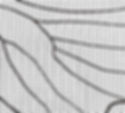 cN_Skizzen122