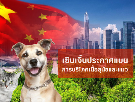 เซินเจิ้นนำร่อง แบนการบริโภคสุนัขและแมว