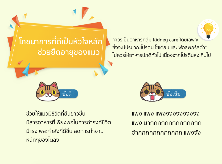 อาหารแมวโรคไต