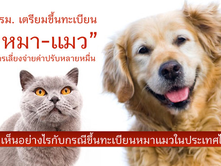 ครม.เตรียมขึ้นทะเบียน หมา-แมว เจ้าของฝ่าฝืนมีโทษปรับหลายหมื่นให้รัฐ