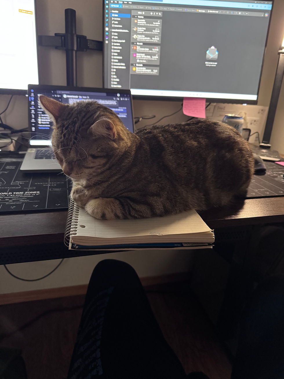 Here is the cat tax for the week. Edward is supervising my new job.