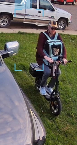 This day's cat tax is a cat in a scooter!!!!!!!1