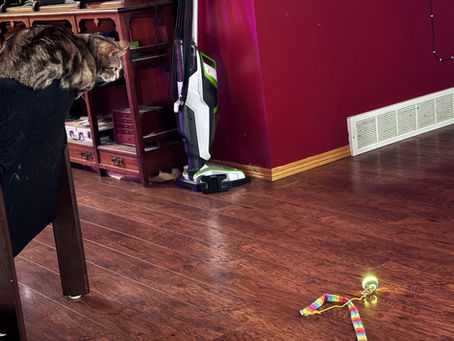 The last thing she saw before she turned and ran was the board of butter aloft, the woman screaming.