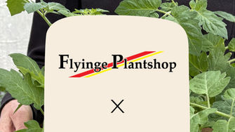 Nytt samarbete med Flyinge Plantshop