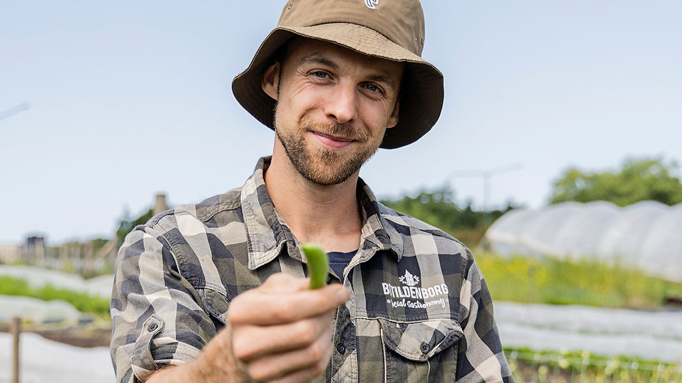 Internship 2026 – Apply now!