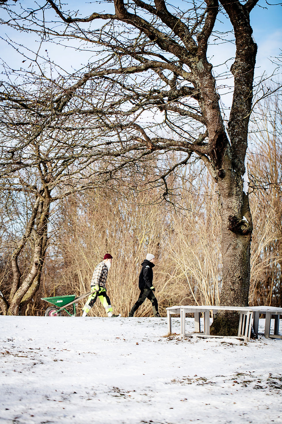 Skapa egna bivaxljus