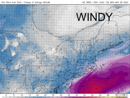 Afternoon Warm up Windy Conditions Mostly sunny