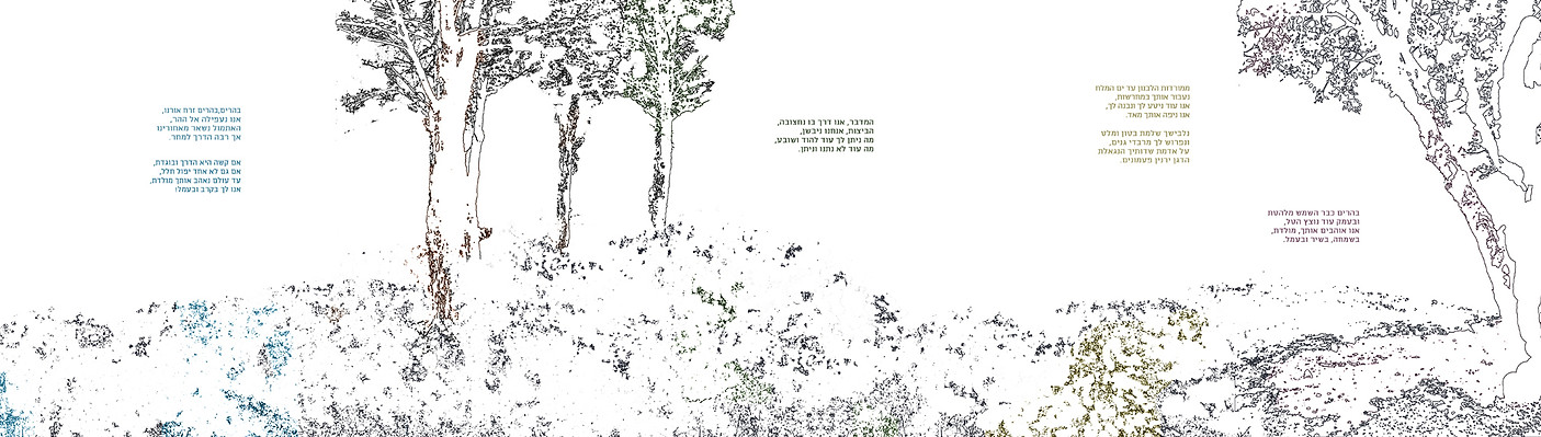 אקורדיון צד א.jpg