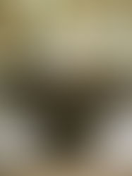 Garden water feature