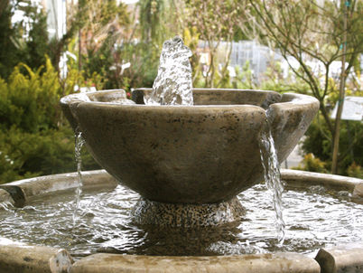 April 2026 Letter | John Fox, PPM