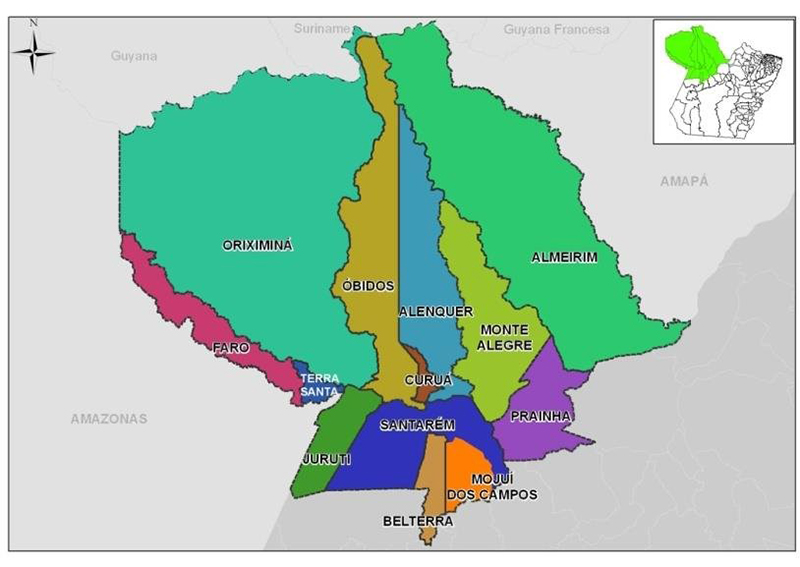 PESQUISA APONTA CENÁRIO COMPETITIVO E ALTO ÍNDICE DE INDECISOS NO BAIXO AMAZONAS PARA DEPUTADOS ESTADUAIS E FEDERAIS