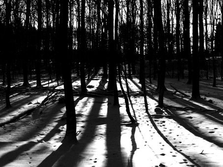 2018: LUZES E SOMBRAS NO CAMPO POLÍTICO.