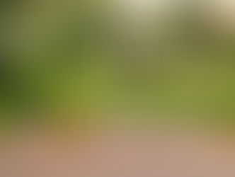 AVALIAÇÃO DO PRIMEIRO ANO DE GOVERNO DE ZÉ FILHO E AS PERSPECTIVAS ELEITORAIS PARA 2026 EM RURÓPOLIS