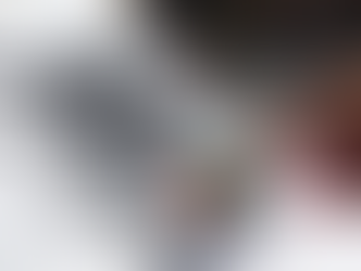 QUEM LEVA VANTAGEM: VOTO PERSONALISTA OU VOTO PARTIDÁRIO?