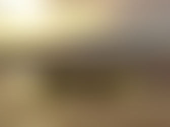 ELEIÇÕES 2026: RAISSA E RANDOLFE SAEM NA FRENTE NA DISPUTA PARA O SENADO NO AMAPÁ