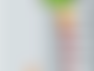 DR. DANIEL SAI NA FRENTE COM 80,1% EM ANANINDEUA. ANTONIO DOIDO É O SEGUNDO COM 2,3%